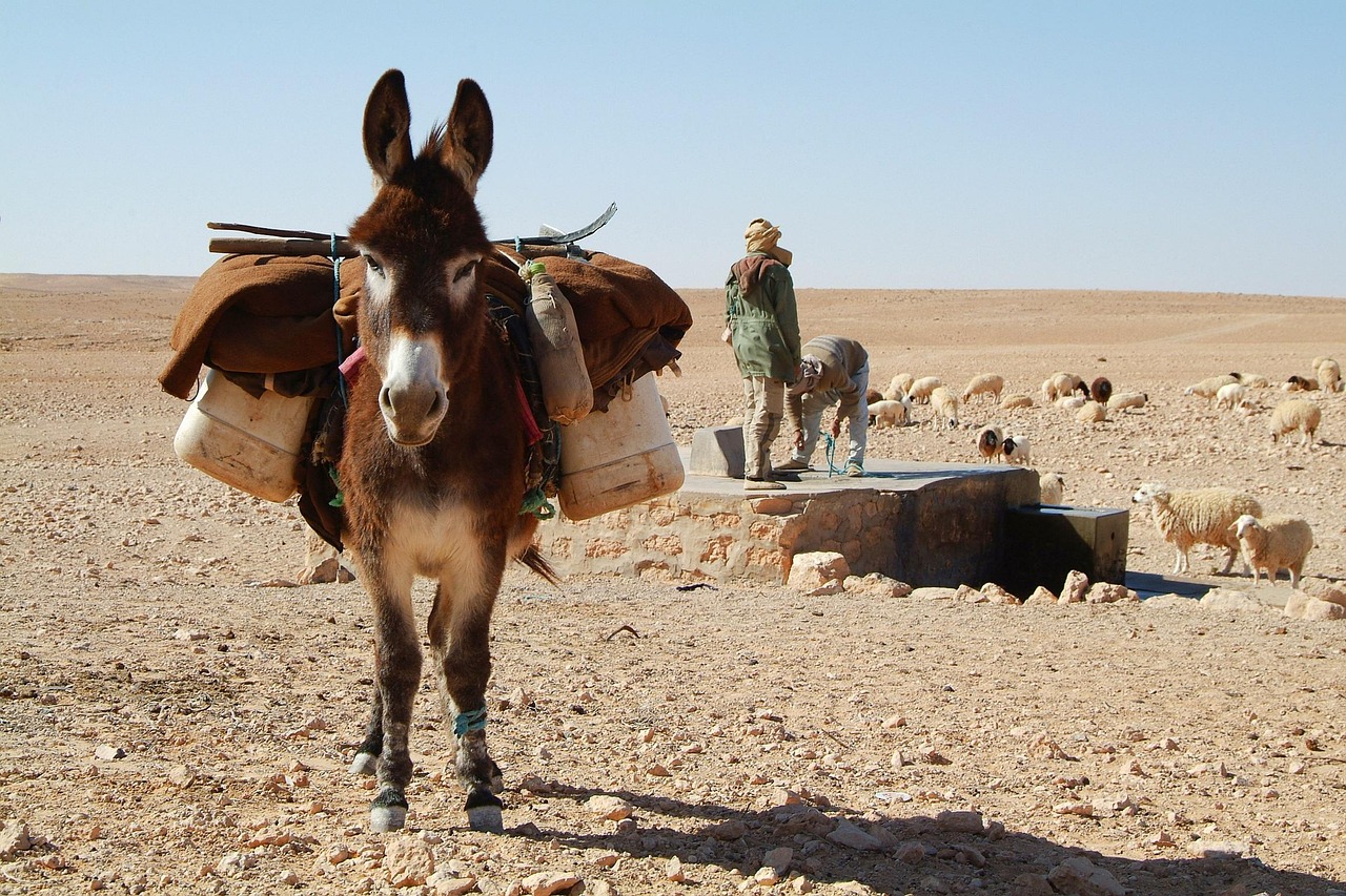 Construction de puits et actions solidaires