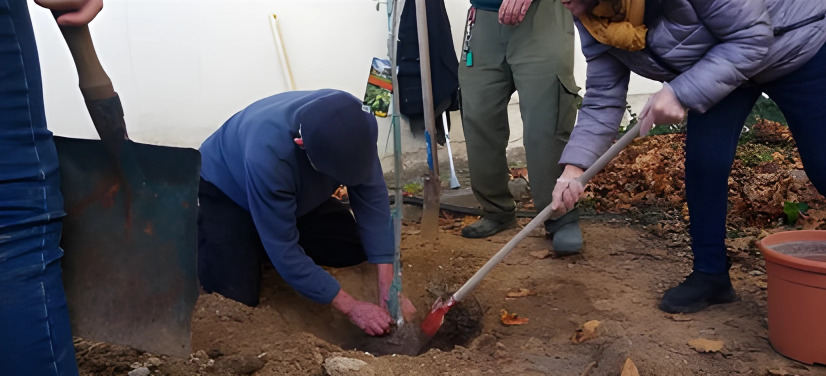 Un arbre pour demain, planté ensemble aujourd’hui