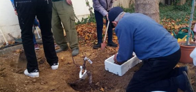À chaque arbre, une histoire