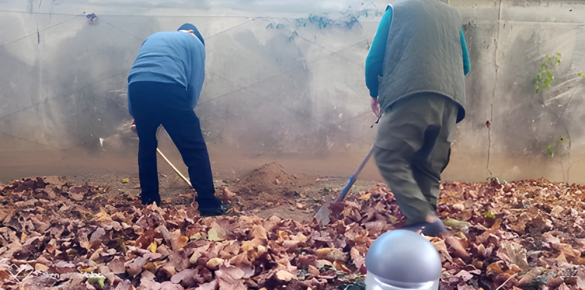Avant de planter, il faut nettoyer
